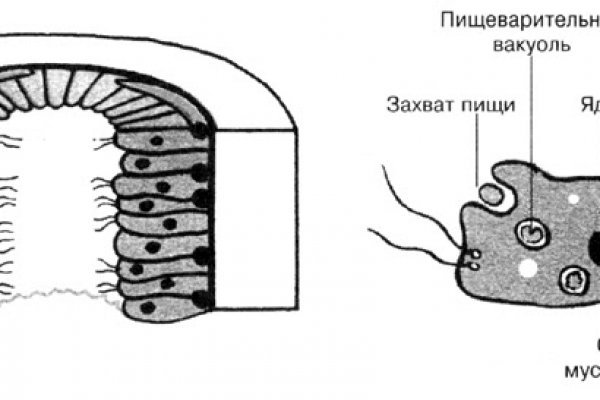 Ссылка на кракен тор магазин