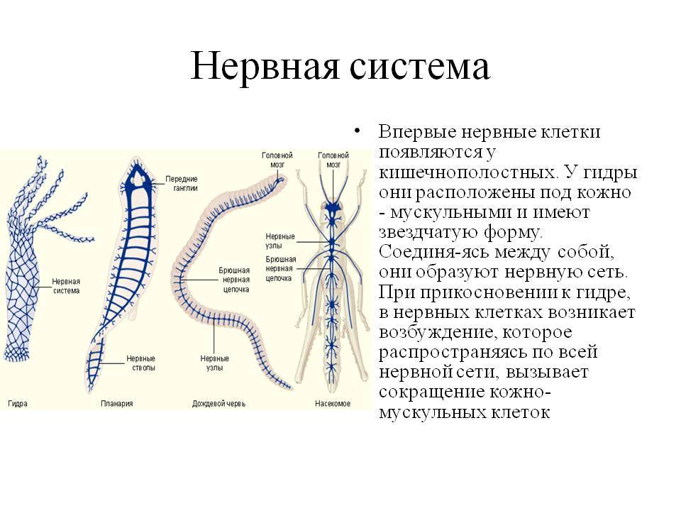 Как зарегаться в кракен